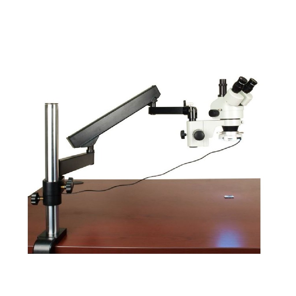Product View